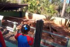 WhatsApp-Image-2025-08-14-at-14.08.20-2