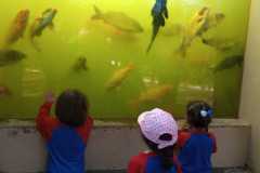 WhatsApp-Image-2025-08-14-at-14.08.21-1