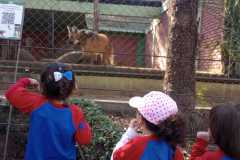 WhatsApp-Image-2025-08-14-at-14.08.21