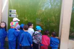 WhatsApp-Image-2025-08-14-at-15.51.12-1