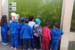 WhatsApp-Image-2025-08-14-at-15.51.12-2