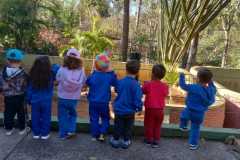 WhatsApp-Image-2025-08-14-at-15.51.12-3