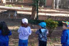 WhatsApp-Image-2025-08-14-at-15.51.12