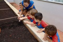 WhatsApp-Image-2025-03-18-at-08.03.09-2