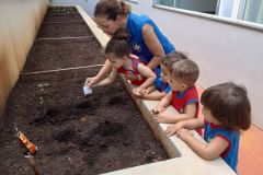 WhatsApp-Image-2025-03-18-at-08.03.09-3