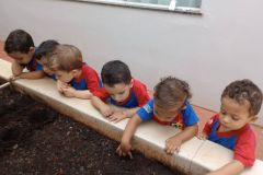 WhatsApp-Image-2025-03-18-at-08.03.09-4