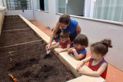 WhatsApp-Image-2025-03-18-at-08.03.09