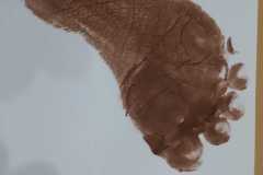 WhatsApp-Image-2025-05-16-at-17.56.27-2