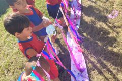 WhatsApp-Image-2025-03-12-at-11.59.13