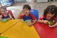 WhatsApp-Image-2025-02-26-at-12.55.01-1