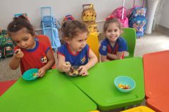 WhatsApp-Image-2025-02-26-at-12.55.01