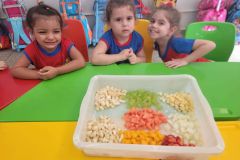 WhatsApp-Image-2025-02-26-at-12.55.03-2