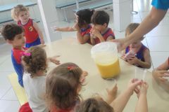 WhatsApp-Image-2025-03-20-at-15.09.04