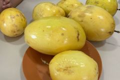 WhatsApp-Image-2025-03-20-at-15.10.38