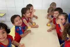 WhatsApp-Image-2025-03-20-at-15.10.39-3