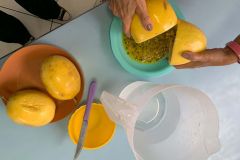 WhatsApp-Image-2025-03-20-at-15.10.39