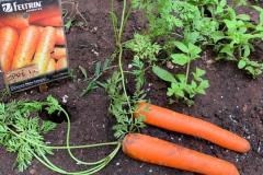 WhatsApp-Image-2025-12-05-at-16.11.33