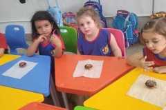 WhatsApp-Image-2025-12-05-at-16.15.28-1