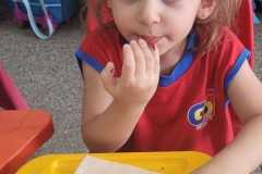 WhatsApp-Image-2025-12-05-at-16.15.31-1