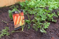 WhatsApp-Image-2025-12-05-at-17.10.29-1