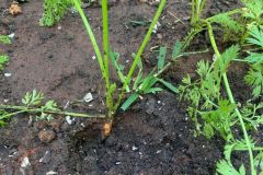 WhatsApp-Image-2025-12-05-at-17.10.29