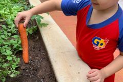 WhatsApp-Image-2025-12-05-at-17.10.30-4