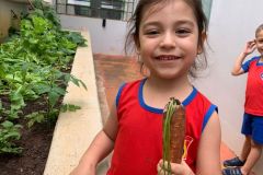 WhatsApp-Image-2025-12-05-at-17.10.31