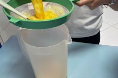 WhatsApp-Image-2025-08-20-at-15.17.28-2