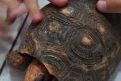 WhatsApp-Image-2025-08-13-at-09.45.14