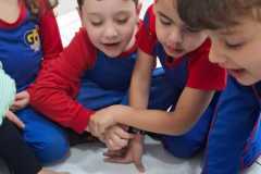 WhatsApp-Image-2025-08-13-at-09.45.15