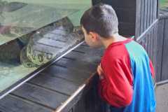 WhatsApp-Image-2025-08-13-at-09.45.48-2