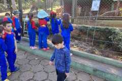 WhatsApp-Image-2025-08-13-at-09.45.52-3