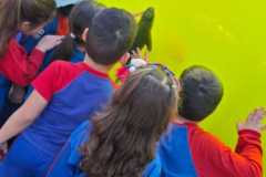 WhatsApp-Image-2025-08-13-at-09.45.57-1