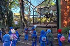 WhatsApp-Image-2025-08-13-at-16.34.04