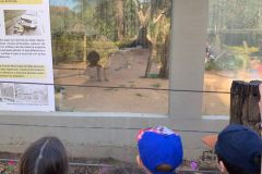 WhatsApp-Image-2025-08-13-at-18.01.52