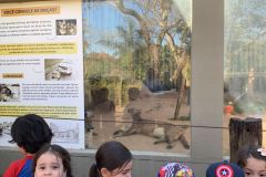 WhatsApp-Image-2025-08-13-at-18.01.57-2