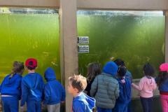 WhatsApp-Image-2025-08-15-at-17.25.19-1