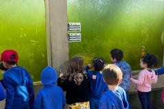 WhatsApp-Image-2025-08-15-at-17.25.19-2