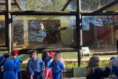 WhatsApp-Image-2025-08-15-at-17.25.19-4