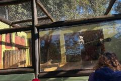 WhatsApp-Image-2025-08-15-at-17.25.20-1