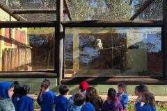 WhatsApp-Image-2025-08-15-at-17.25.20