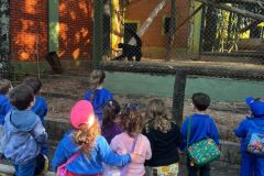 WhatsApp-Image-2025-08-15-at-17.25.21