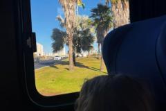 WhatsApp-Image-2025-08-15-at-17.25.22-1