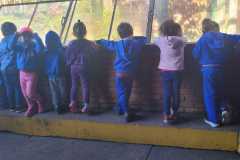 WhatsApp-Image-2025-08-15-at-17.27.10-1