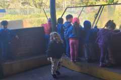 WhatsApp-Image-2025-08-15-at-17.27.11-1