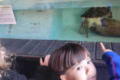 WhatsApp-Image-2025-08-15-at-17.27.11-2