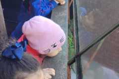 WhatsApp-Image-2025-08-15-at-17.27.11-3