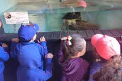 WhatsApp-Image-2025-08-15-at-17.27.12