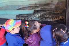 WhatsApp-Image-2025-08-15-at-17.27.17