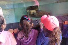 WhatsApp-Image-2025-08-15-at-17.27.18-1